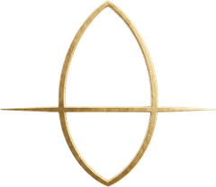 The ROOT seed mark